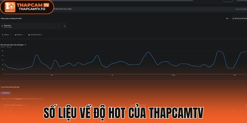 Số liệu về độ hot của thapcamtv