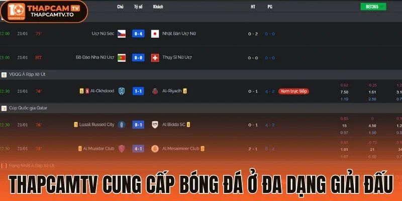 Thapcamtv cung cấp bóng đá ở đa dạng giải đấu