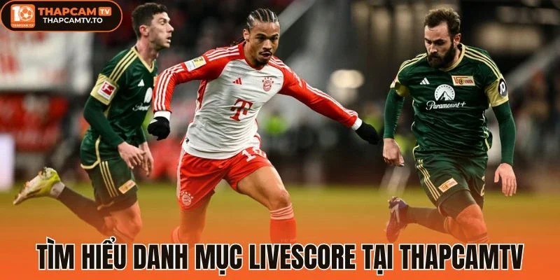 Tìm hiểu dịch vụ Livescore cập nhật nhanh