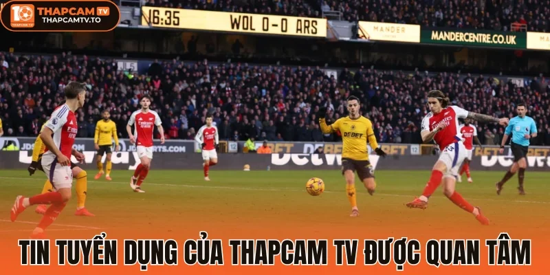 Tin tuyển dụng của thapcam tv được quan tâm