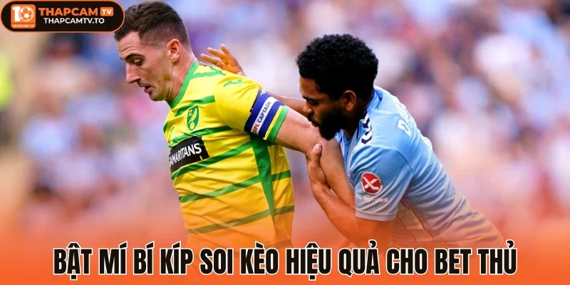 Bật mí bí kíp soi kèo hiệu quả cho bet thủ
