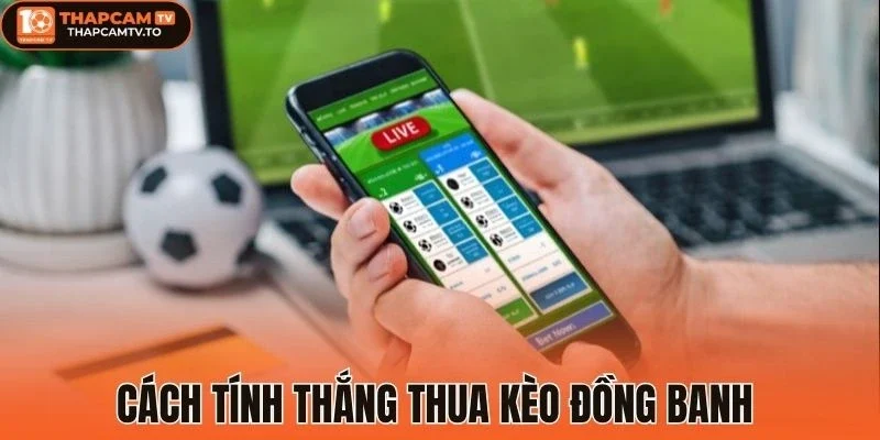 Cách tính thắng thua kèo đồng banh