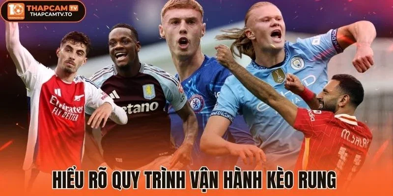 Hiểu rõ quy trình vận hành kèo rung
