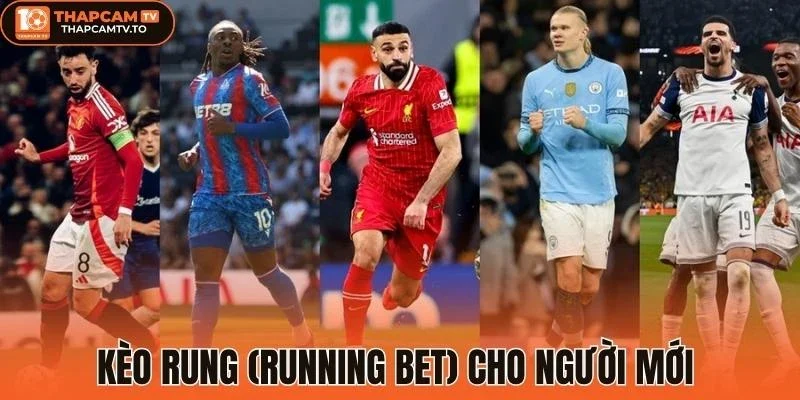 Kèo rung (Running Bet) cho người mới