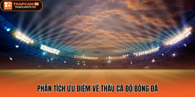Phân tích ưu điểm về thầu cá độ bóng đá
