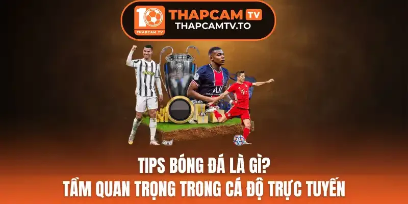 Tips Bóng Đá Là Gì? Tầm Quan Trọng Trong Cá Độ Trực Tuyến