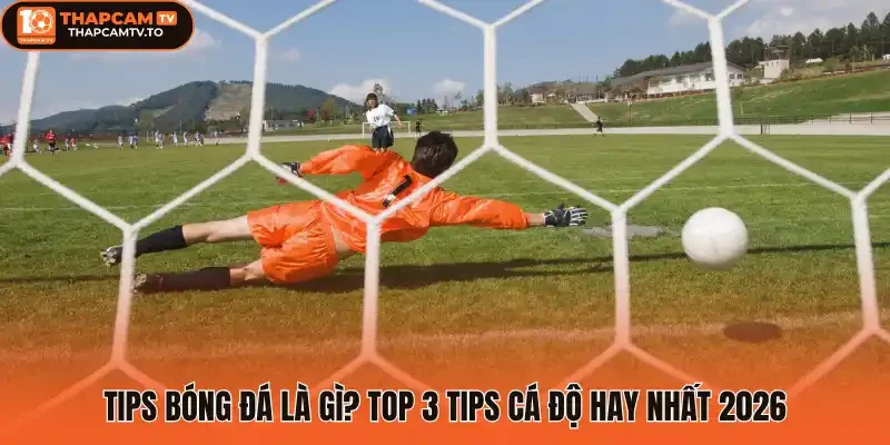 Tips bóng đá là gì? Top 3 tips cá độ hay nhất 2026