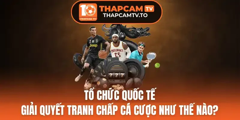 Các vấn đề cần hạn chế để không xảy ra tranh chấp